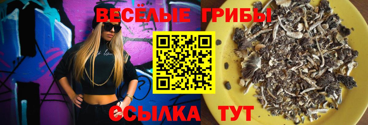 Псилоцибиновые грибы мухоморы  Вход с VPN  Карабулак 